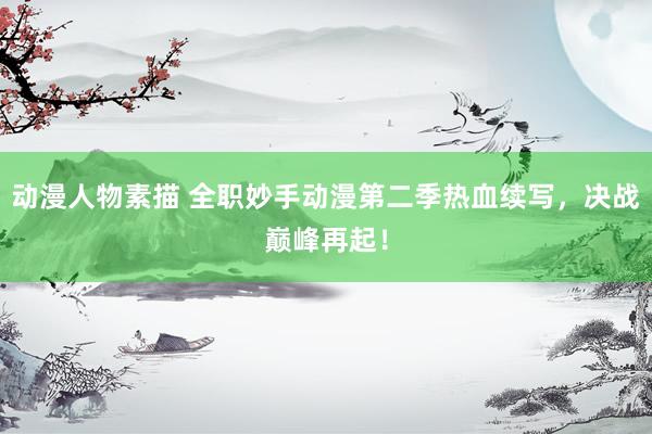 动漫人物素描 全职妙手动漫第二季热血续写，决战巅峰再起！