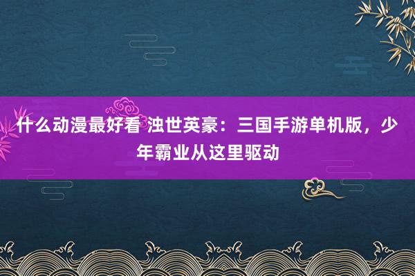 什么动漫最好看 浊世英豪：三国手游单机版，少年霸业从这里驱动