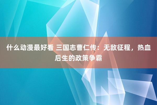什么动漫最好看 三国志曹仁传：无敌征程，热血后生的政策争霸