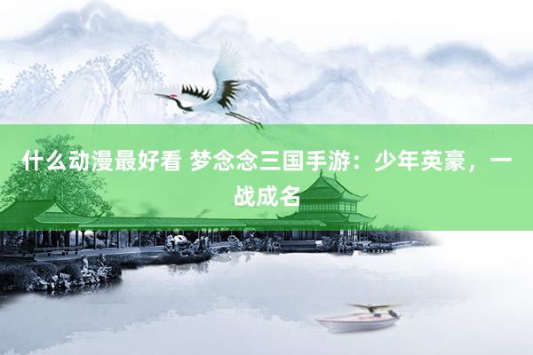 什么动漫最好看 梦念念三国手游：少年英豪，一战成名