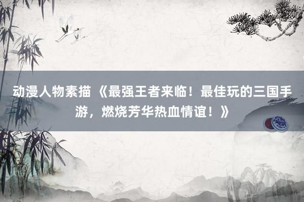 动漫人物素描 《最强王者来临！最佳玩的三国手游，燃烧芳华热血情谊！》