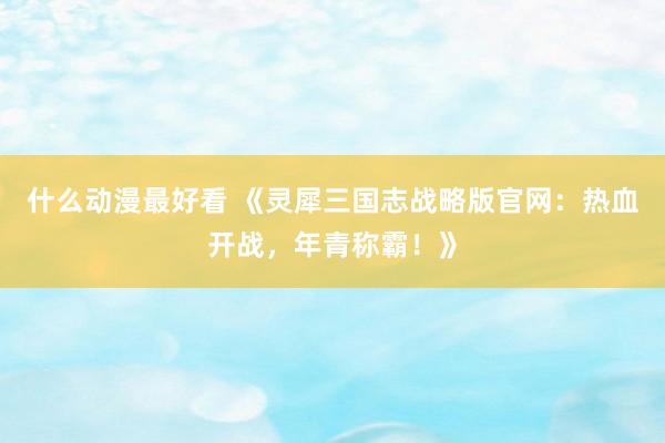 什么动漫最好看 《灵犀三国志战略版官网：热血开战，年青称霸！》