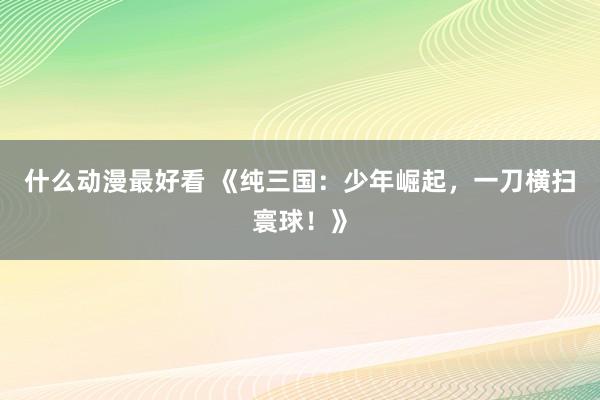 什么动漫最好看 《纯三国：少年崛起，一刀横扫寰球！》
