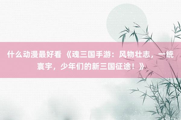 什么动漫最好看 《魂三国手游：风物壮志，一统寰宇，少年们的新三国征途！》