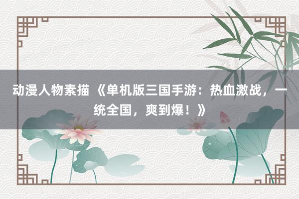 动漫人物素描 《单机版三国手游：热血激战，一统全国，爽到爆！》