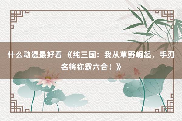 什么动漫最好看 《纯三国：我从草野崛起，手刃名将称霸六合！》